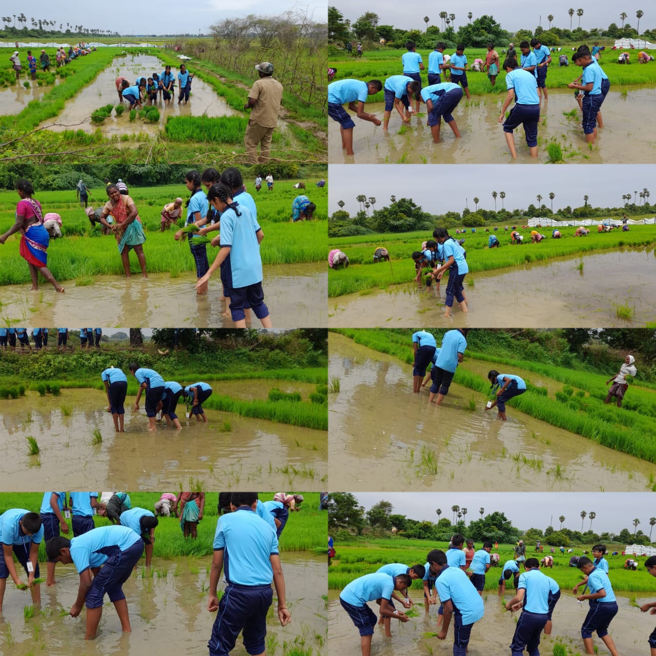 mahaveer-rajasthani-international-school